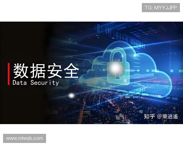 米兰app官网登录入口登录安全保障措施，保障玩家账号信息安全与隐私保护